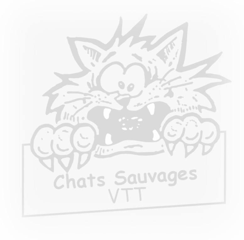 logchat%20en%20transparence.JPG